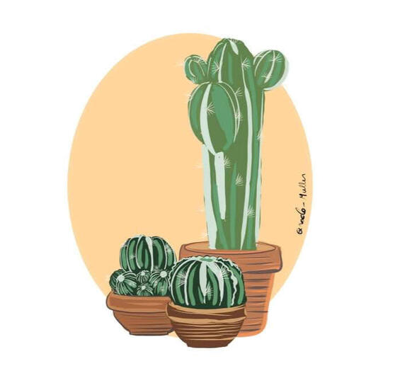 Cactos